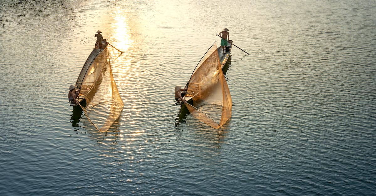Can group tours help you see more of remote regions of Japan, such as Tohoku? - Drone view of unrecognizable men in boats with paddles and nets fishing in shiny sea in twilight Can group tours help you see more of remote regions of Japan, such as Tohoku? - Drone view of unrecognizable men in boats with paddles and nets fishing in shiny sea in twilight