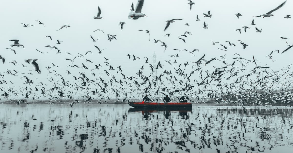 Can I book a NRT-SLC flight connecting in LAX, get off the flight at LAX and still retrieve my checked bag? - People in boat floating among birds Can I book a NRT-SLC flight connecting in LAX, get off the flight at LAX and still retrieve my checked bag? - People in boat floating among birds