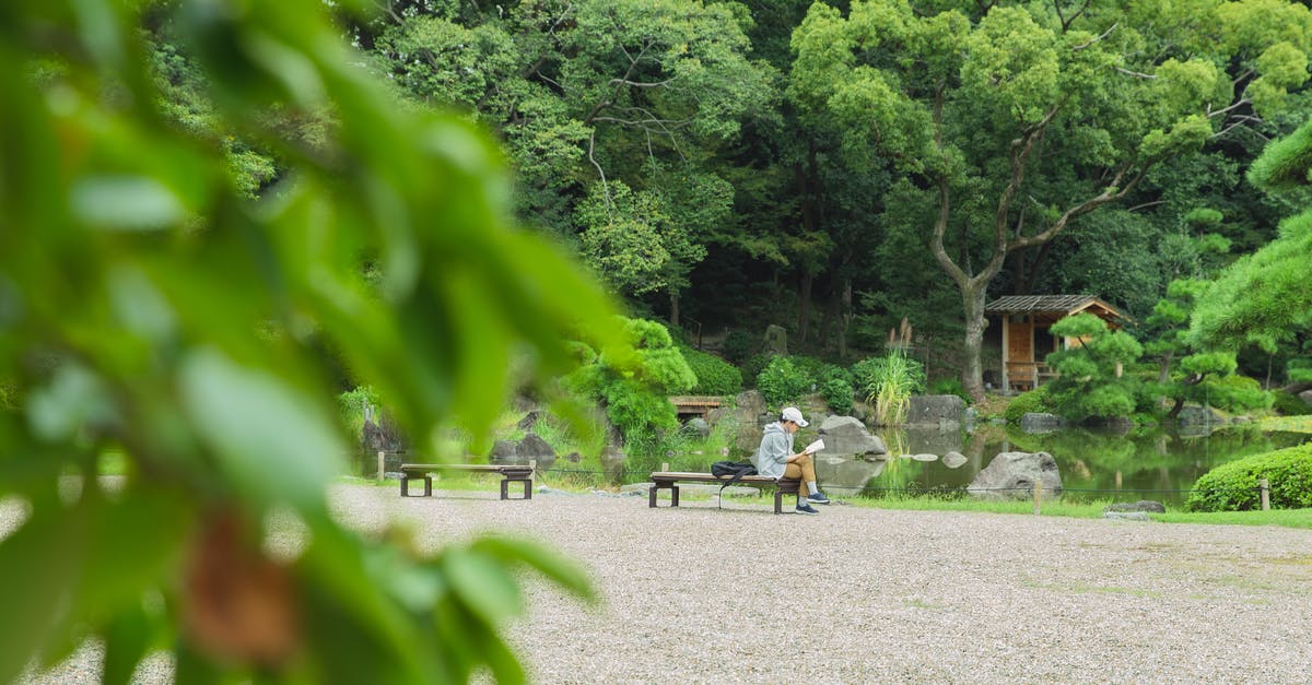 Can I book a two leg trip but only use the second leg? [duplicate] - Side view of unrecognizable tourist with crossed legs reading textbook on bench against pond and lush green trees in park