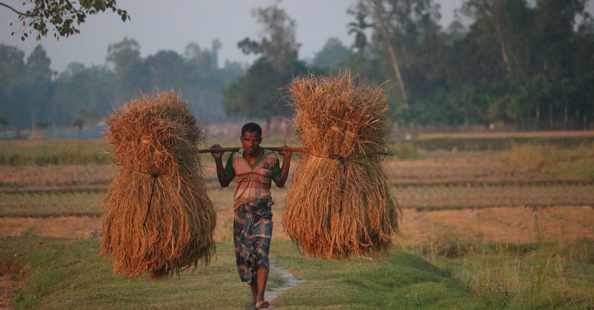 Can I bring a big wooden sword as carry on in a plane? - African male laborer carrying haystacks on wooden stick while walking on grass meadow behind trees and looking at camera Can I bring a big wooden sword as carry on in a plane? - African male laborer carrying haystacks on wooden stick while walking on grass meadow behind trees and looking at camera