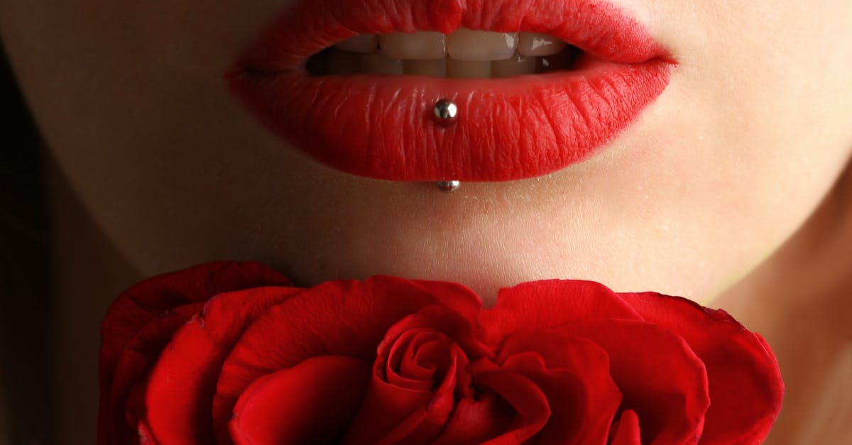 Can I bring a large metal rose on a plane? - Woman Wearing Red Lipstick Near Red Rose Can I bring a large metal rose on a plane? - Woman Wearing Red Lipstick Near Red Rose