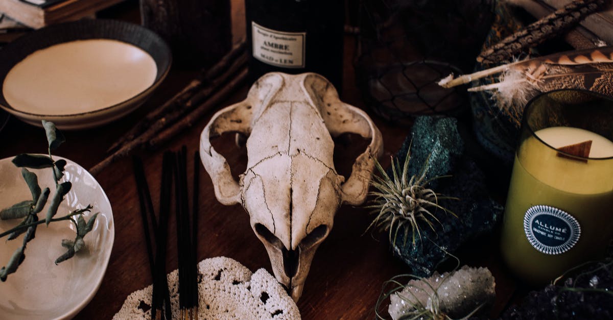 Can I bring a small, decorative deer skull from Germany to the US? - Table setting with candles and skull Can I bring a small, decorative deer skull from Germany to the US? - Table setting with candles and skull