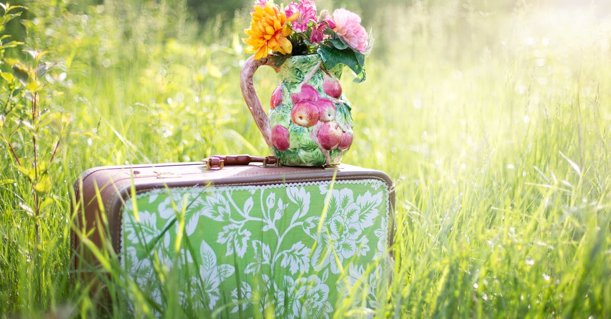 Can I bring a suitcase aboard the riverboat Koln-Dusseldorfer (K-D) Line, traveling from St. Goare to Mainz, Germany? - Red and Green Floral Suitcase Can I bring a suitcase aboard the riverboat Koln-Dusseldorfer (K-D) Line, traveling from St. Goare to Mainz, Germany? - Red and Green Floral Suitcase
