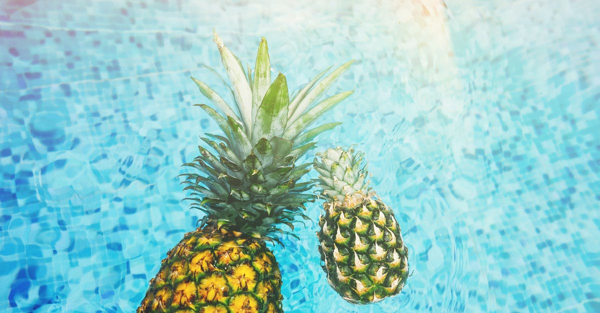 Can I bring fruit from Mexico into Düsseldorf airport? - Two Pineapples on Body of Water Can I bring fruit from Mexico into Düsseldorf airport? - Two Pineapples on Body of Water