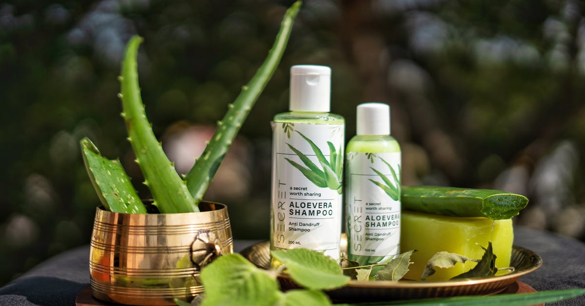 Can I bring hair treatment products and shampoo/conditioner over 100ml in my checked luggage? - Free stock photo of aloe, alternative, aromatherapy Can I bring hair treatment products and shampoo/conditioner over 100ml in my checked luggage? - Free stock photo of aloe, alternative, aromatherapy