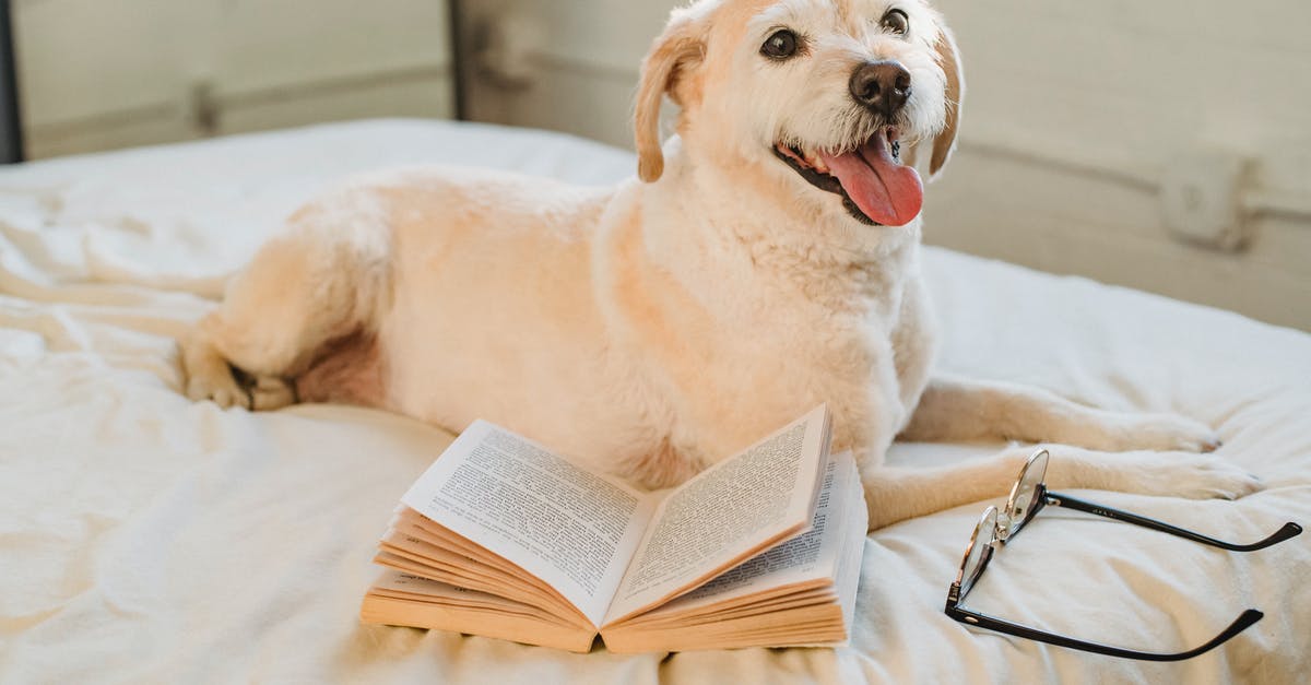 Can I bring in my dog's effects into Australia - e.g collar/lead/jumper/soft bed? - Happy Labrador Retriever lying on bed with eyeglasses and book Can I bring in my dog's effects into Australia - e.g collar/lead/jumper/soft bed? - Happy Labrador Retriever lying on bed with eyeglasses and book
