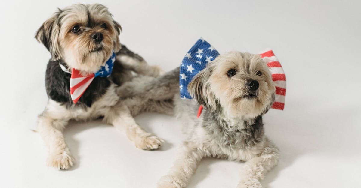 Can I buy a US domestic ticket for Europeans visiting the US? - Cute purebred dogs with accessories with American flag Can I buy a US domestic ticket for Europeans visiting the US? - Cute purebred dogs with accessories with American flag