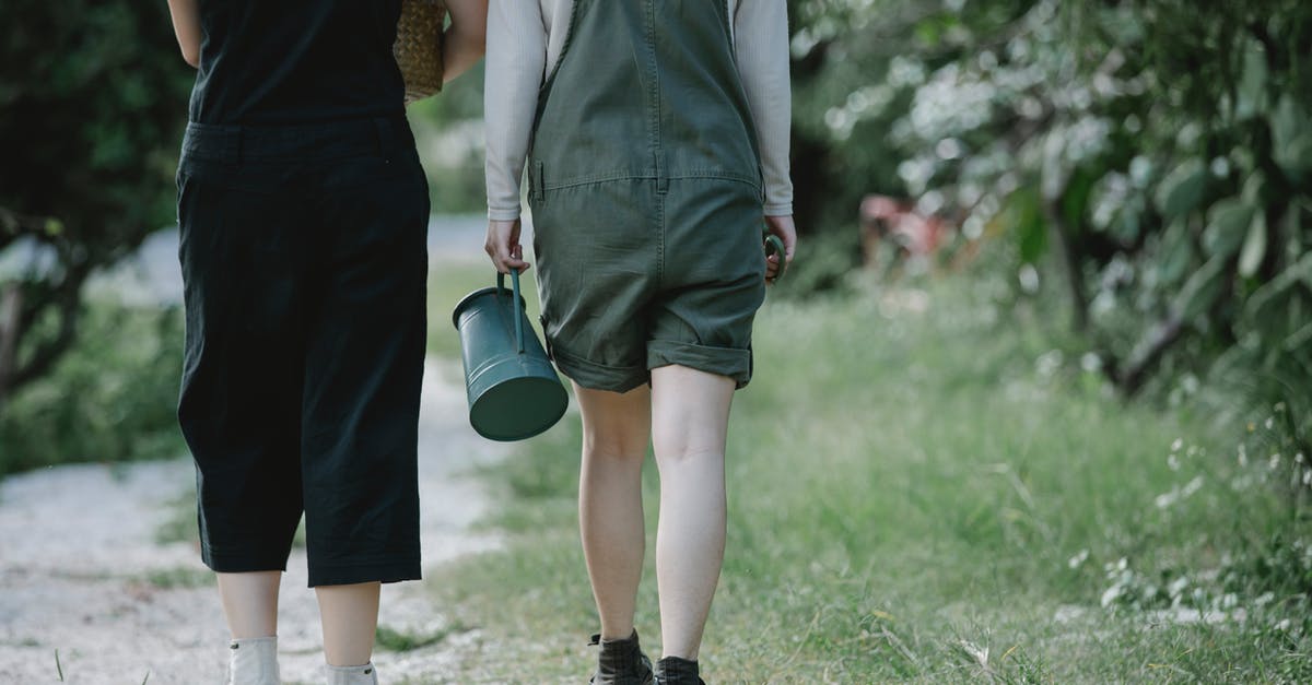 Can I carry a non-mercury thermometer on plane? - Female gardeners strolling on path in park Can I carry a non-mercury thermometer on plane? - Female gardeners strolling on path in park