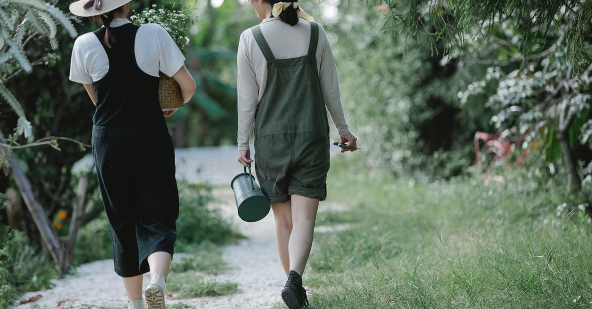 Can I carry a non-mercury thermometer on plane? - Back view full body of anonymous female colleagues walking among plants in garden Can I carry a non-mercury thermometer on plane? - Back view full body of anonymous female colleagues walking among plants in garden