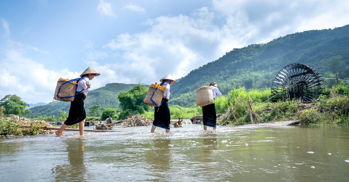 Can I carry a violin as cabin baggage from Europe to Asia on Lufthansa? - Low angle side view of women in traditional Vietnamese hats carrying baskets with food during harvest season