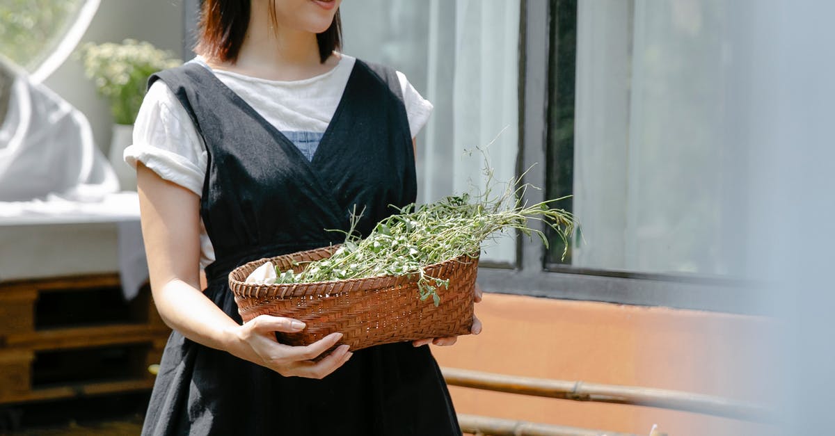 Can I carry DIY electronics to a plane? - Crop craftswoman with plant sprigs for shibori technique Can I carry DIY electronics to a plane? - Crop craftswoman with plant sprigs for shibori technique