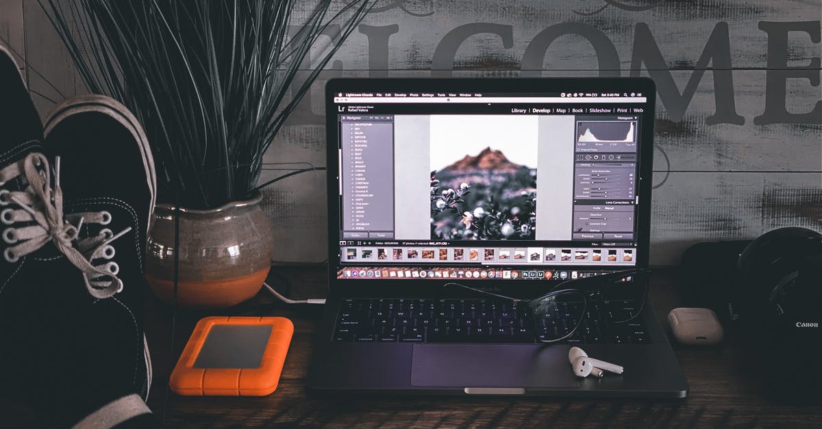 Can I cross the border into Canada using my birth certificate and a photo ID? - Person working on laptop at home Can I cross the border into Canada using my birth certificate and a photo ID? - Person working on laptop at home