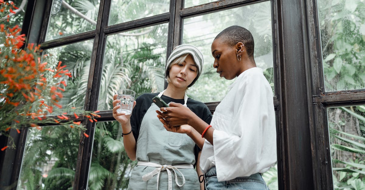 Can I enter Mexico using a Schengen business visa issued by Germany? - Focused young diverse female colleagues browsing smartphone and talking to each other Can I enter Mexico using a Schengen business visa issued by Germany? - Focused young diverse female colleagues browsing smartphone and talking to each other