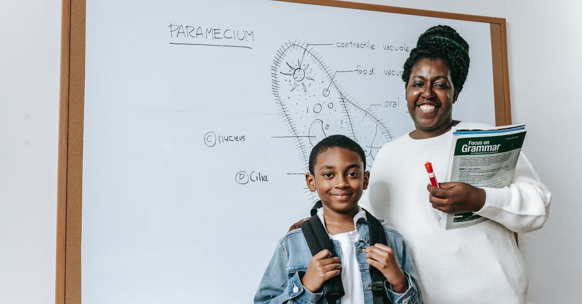 Can I enter the US under the VWP scheme if I'm attending a computer science conference as a student volunteer? - Cheerful Black woman with student against whiteboard Can I enter the US under the VWP scheme if I'm attending a computer science conference as a student volunteer? - Cheerful Black woman with student against whiteboard