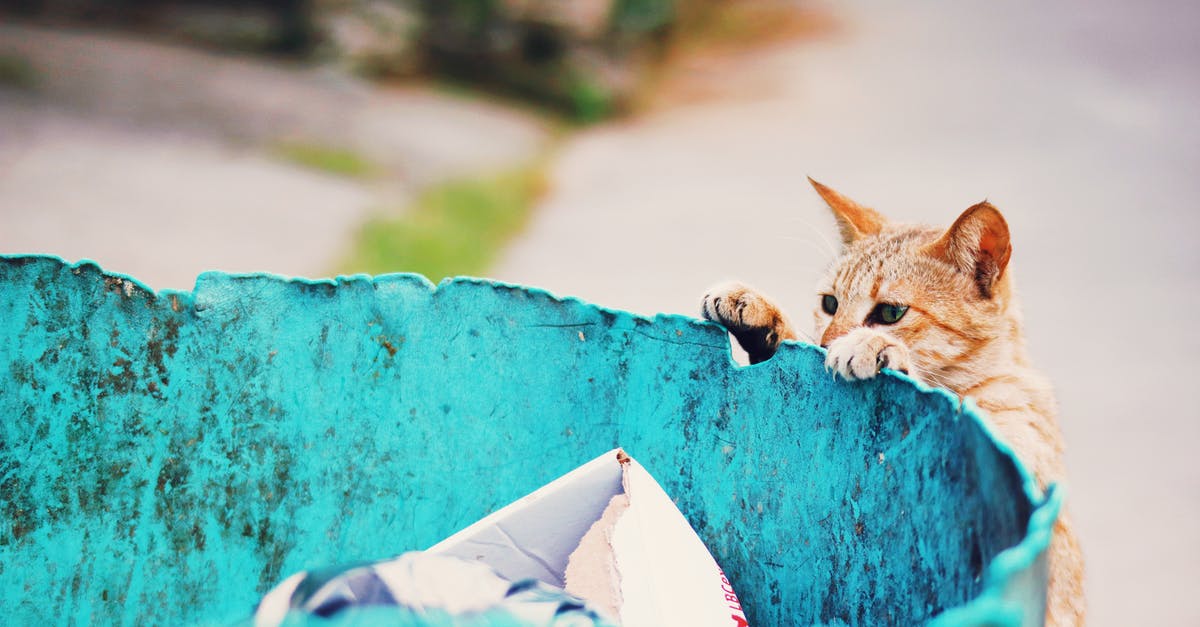 Can I find out the average duration of Schengen visas issued by a particular consulate? - Homeless cat near trash can with garbage