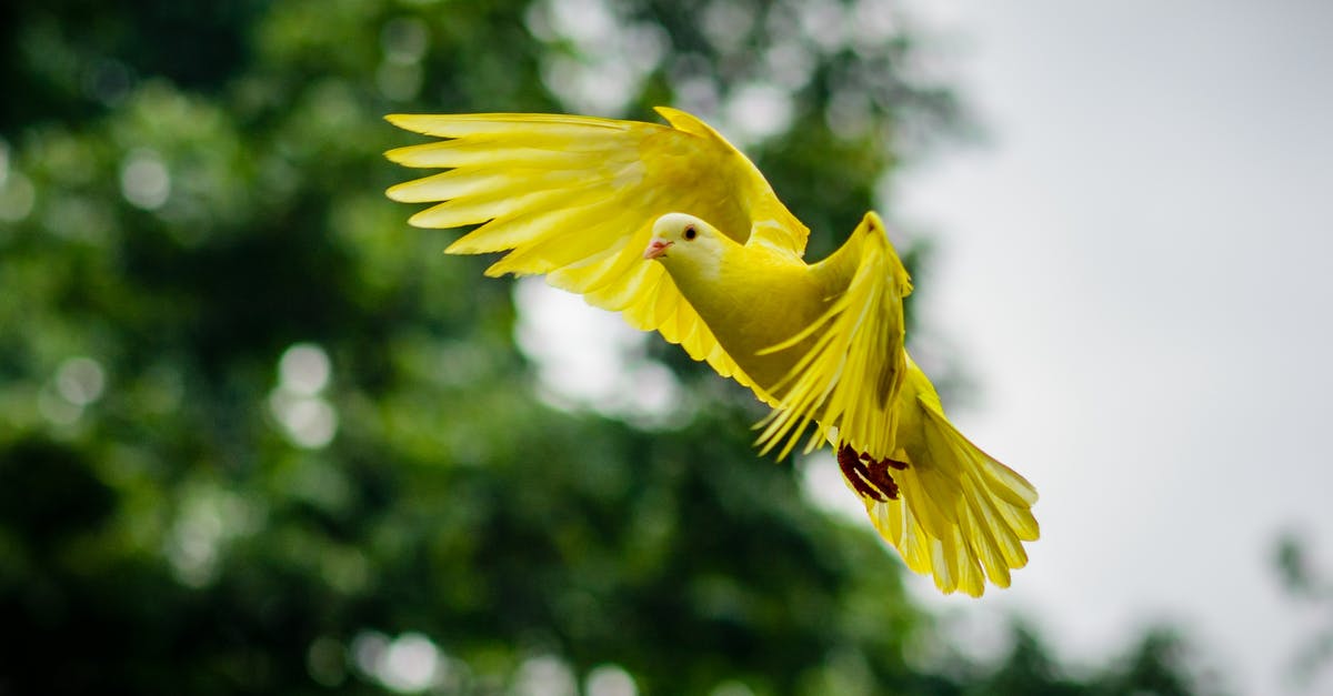 Can I fly between Sweden and Germany without an ID card? [duplicate] - Flying Yellow Bird