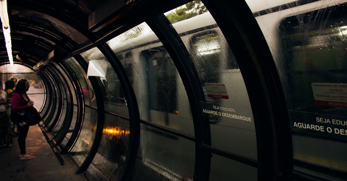 Can I get off a Eurostar train at an earlier stop? [duplicate] - Woman Wearing Pink and Black Scoop-neck T-shirt and Black Pants Standing in Front of Train in Train Station