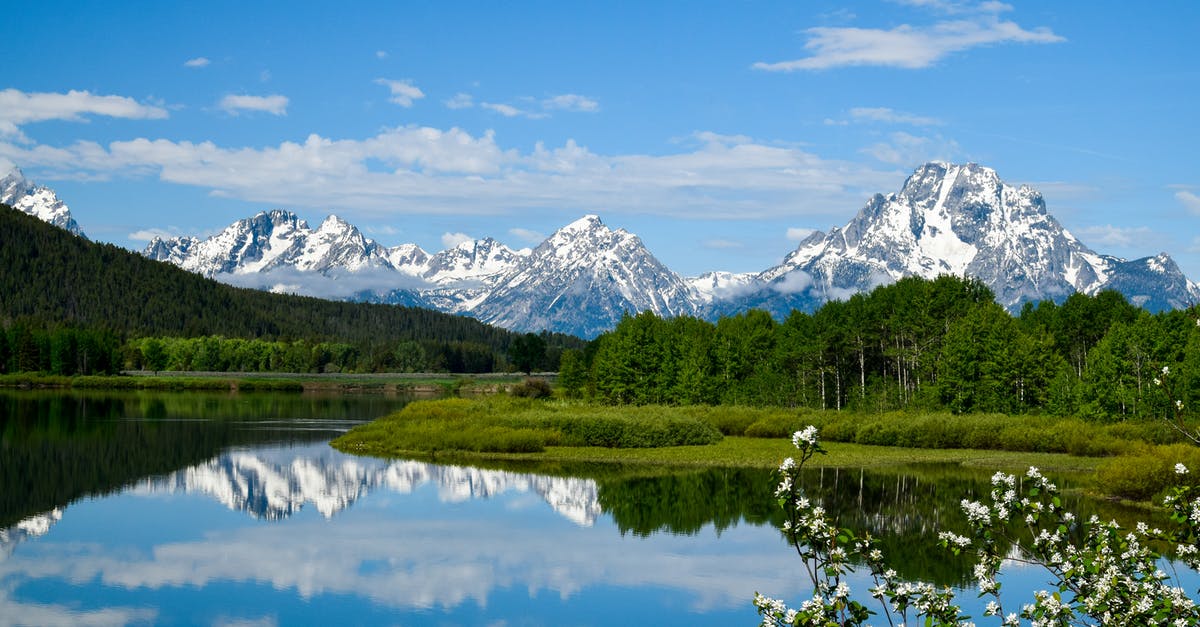 Can I hike the Fox Glacier in NZ on my own, or do I have to go with a guide? - Mt. Moran and the Tetons Can I hike the Fox Glacier in NZ on my own, or do I have to go with a guide? - Mt. Moran and the Tetons