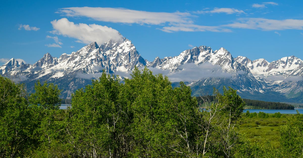 Can I hike the Fox Glacier in NZ on my own, or do I have to go with a guide? - Aspens and the Tetons Can I hike the Fox Glacier in NZ on my own, or do I have to go with a guide? - Aspens and the Tetons