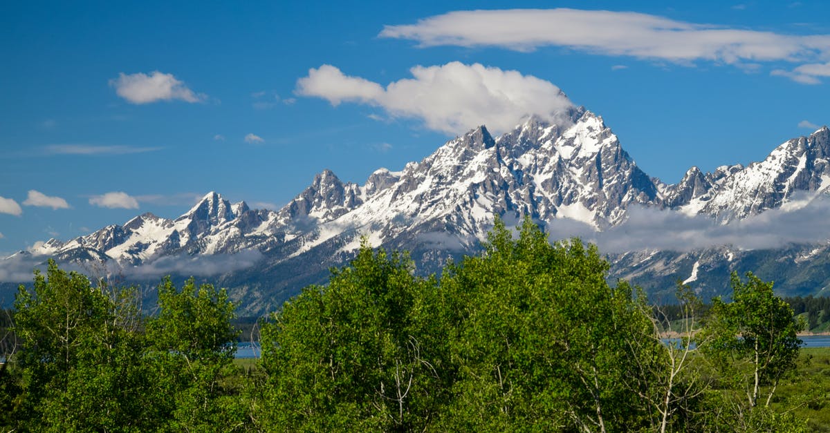 Can I hike the Fox Glacier in NZ on my own, or do I have to go with a guide? - Aspens Below the Grand Teton Can I hike the Fox Glacier in NZ on my own, or do I have to go with a guide? - Aspens Below the Grand Teton