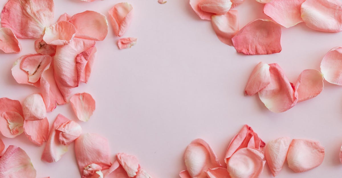 Can I include bank statements from middle of month in UK visitor visa application? - Composition of pink petals on pink surface