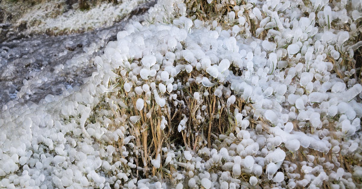 Can I leave the Schengen area from another country other than the one I issued the visa from? - From above of grass area covered with frozen sleet in daylight in winter Can I leave the Schengen area from another country other than the one I issued the visa from? - From above of grass area covered with frozen sleet in daylight in winter