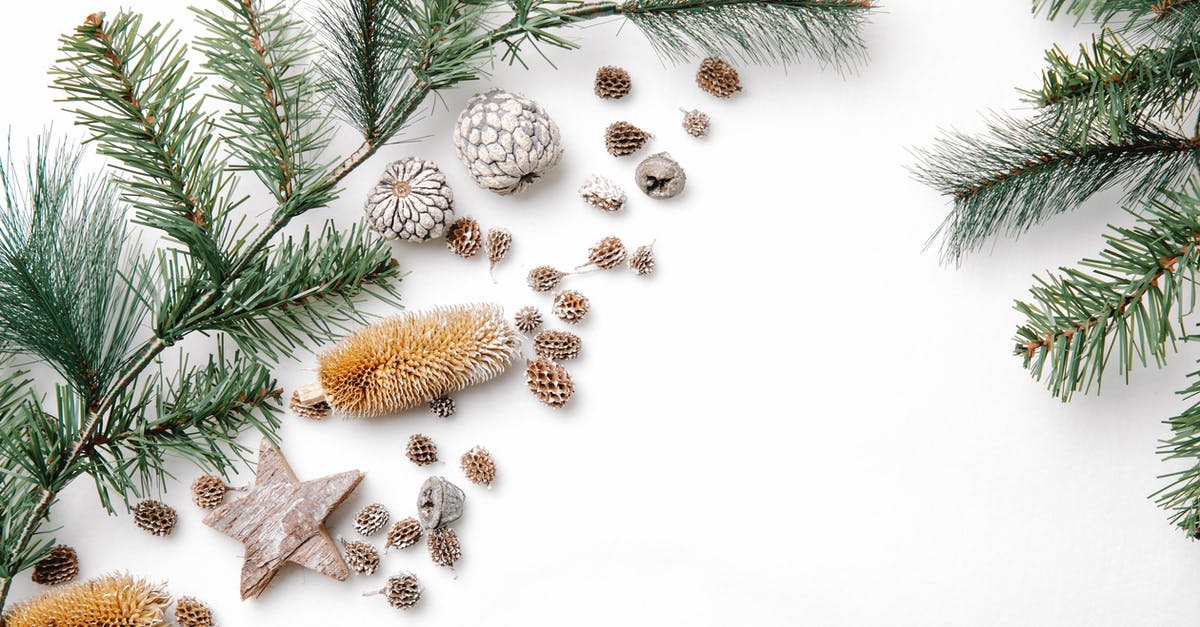 Can I merge points from different flight companies to use in Star Alliance? - Overhead view of spruce tree twigs with different dry cones and star shaped decor