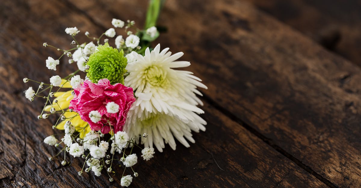 Can I present statements from two different accounts as proof of funds? - From above of elegant bouquet of differently colored chrysanthemums with pink carnation and tender Gypsophila on contrasting dark brown rustic bench Can I present statements from two different accounts as proof of funds? - From above of elegant bouquet of differently colored chrysanthemums with pink carnation and tender Gypsophila on contrasting dark brown rustic bench