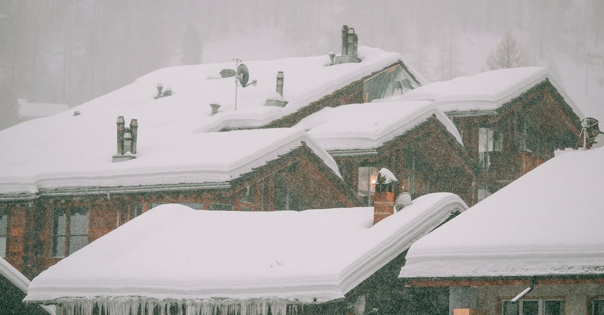 Can I return to my home country (NZ) with a day left on my passport? - Snowy winter day in countryside Can I return to my home country (NZ) with a day left on my passport? - Snowy winter day in countryside