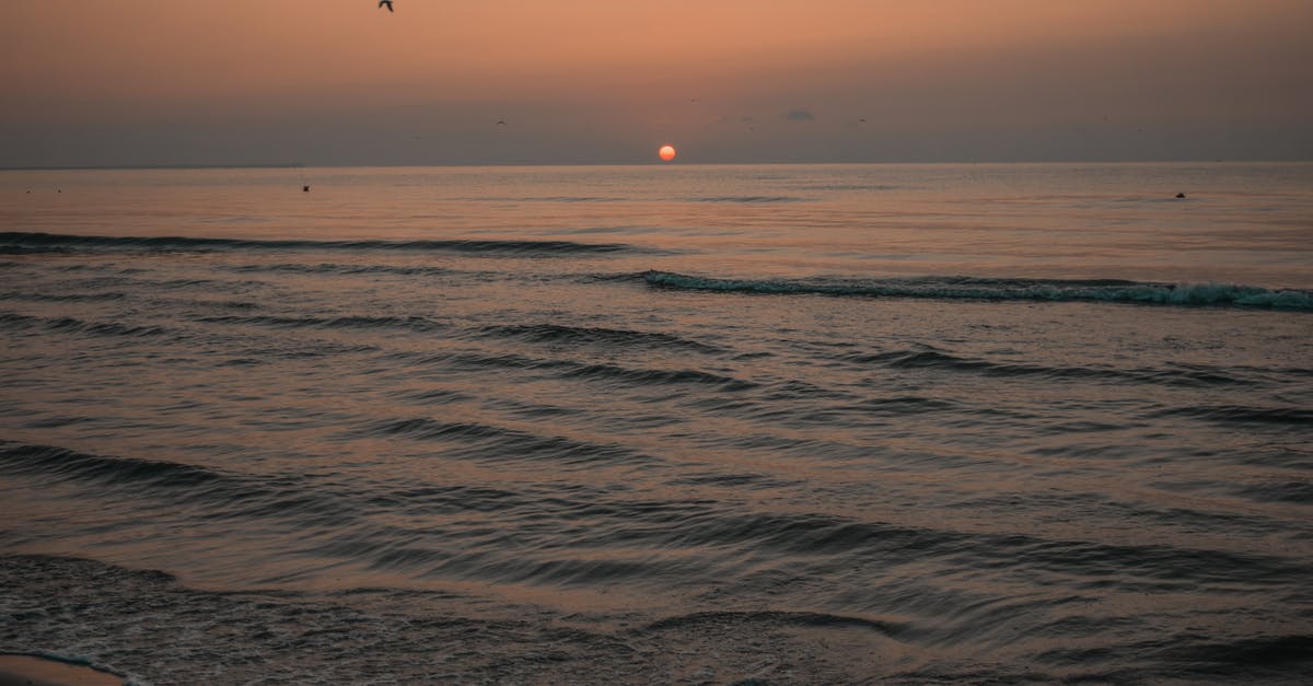 Can I see some of Amsterdam during a five hour layover at Schiphol? [duplicate] - Sunrise And Ocean View