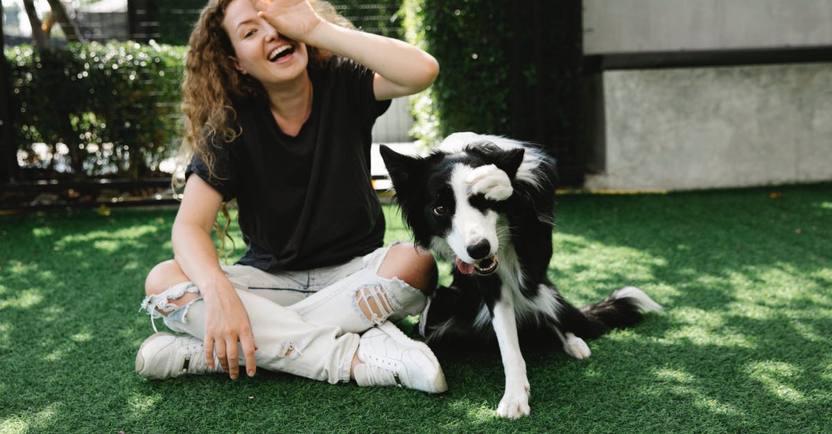 Can I show friend's (trip companion) hotel reservation at European port of entry? - Cheerful female covering eye while sitting with crossed legs against purebred dog and looking at camera on meadow in sunlight