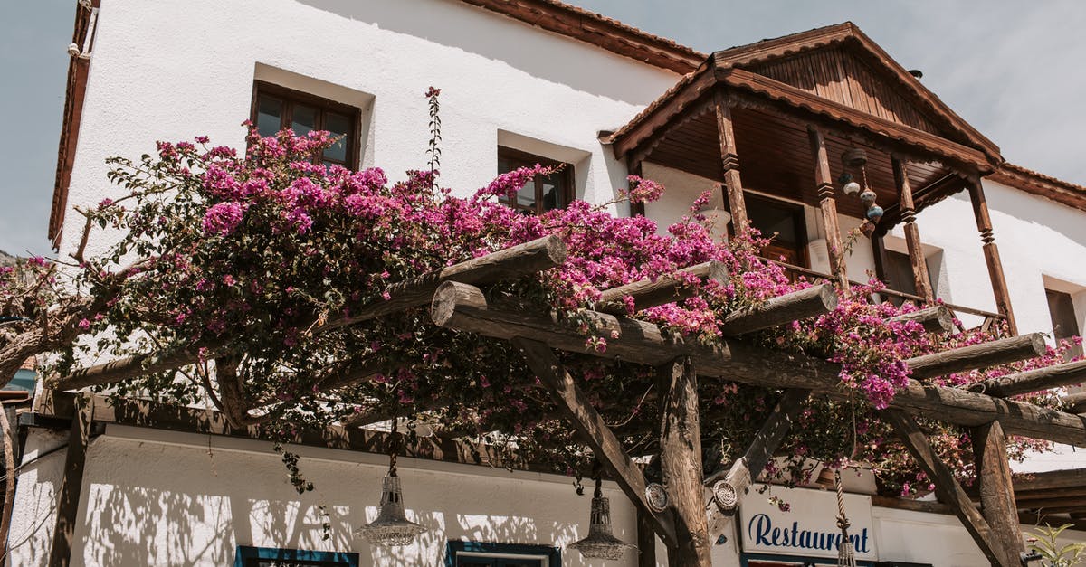 Can I stay in Turkey for ~180 days by aligning two 180 day travel visas [duplicate] - Purple Flowering Plant On Trellis Infront Of A Building