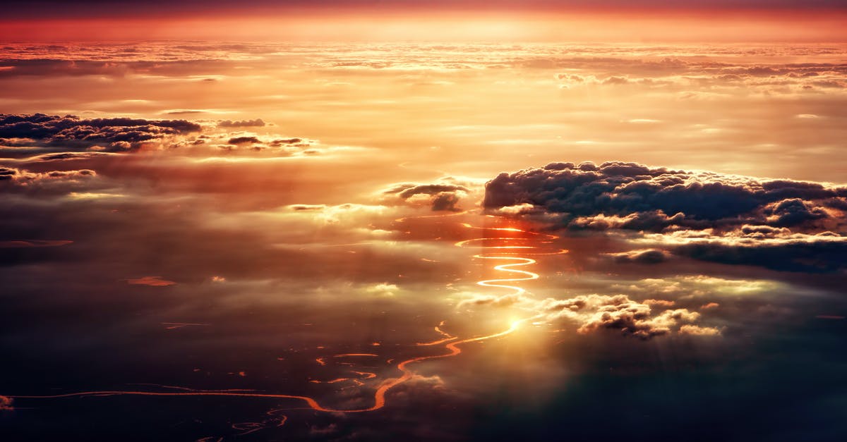 Can I still travel by air even if I applied for indian visa travelling by road? - Aerial Photo of Amazon River Can I still travel by air even if I applied for indian visa travelling by road? - Aerial Photo of Amazon River