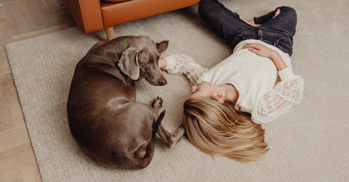 Can I switch OneWorld airline loyalty schemes and retain my benefits? - Woman in White Shirt Lying on Floor Beside Brown Short Coated Dog Can I switch OneWorld airline loyalty schemes and retain my benefits? - Woman in White Shirt Lying on Floor Beside Brown Short Coated Dog