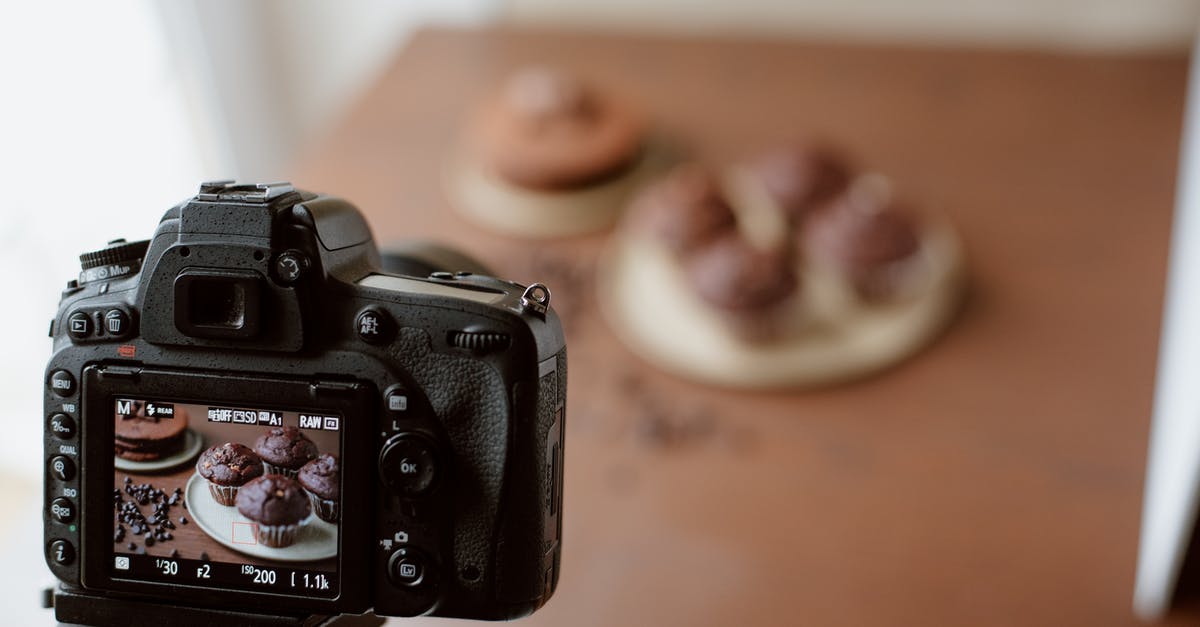 Can I take chocolate to Australia? - Screen of photo camera with photo of chocolate cupcakes Can I take chocolate to Australia? - Screen of photo camera with photo of chocolate cupcakes