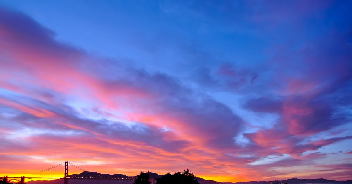 Can I travel back to USA from Schengen area within 90 days of my H1B visa expiry? - Silhouette Photography of Trees during Golden Hour Can I travel back to USA from Schengen area within 90 days of my H1B visa expiry? - Silhouette Photography of Trees during Golden Hour