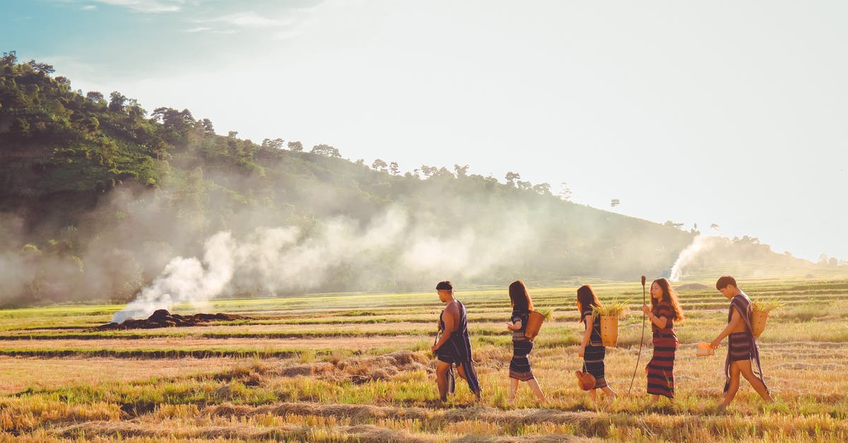 Can I travel to any Schengen country with my EUSS family permit issued by the UK? - Five People Walking on Paddy Can I travel to any Schengen country with my EUSS family permit issued by the UK? - Five People Walking on Paddy