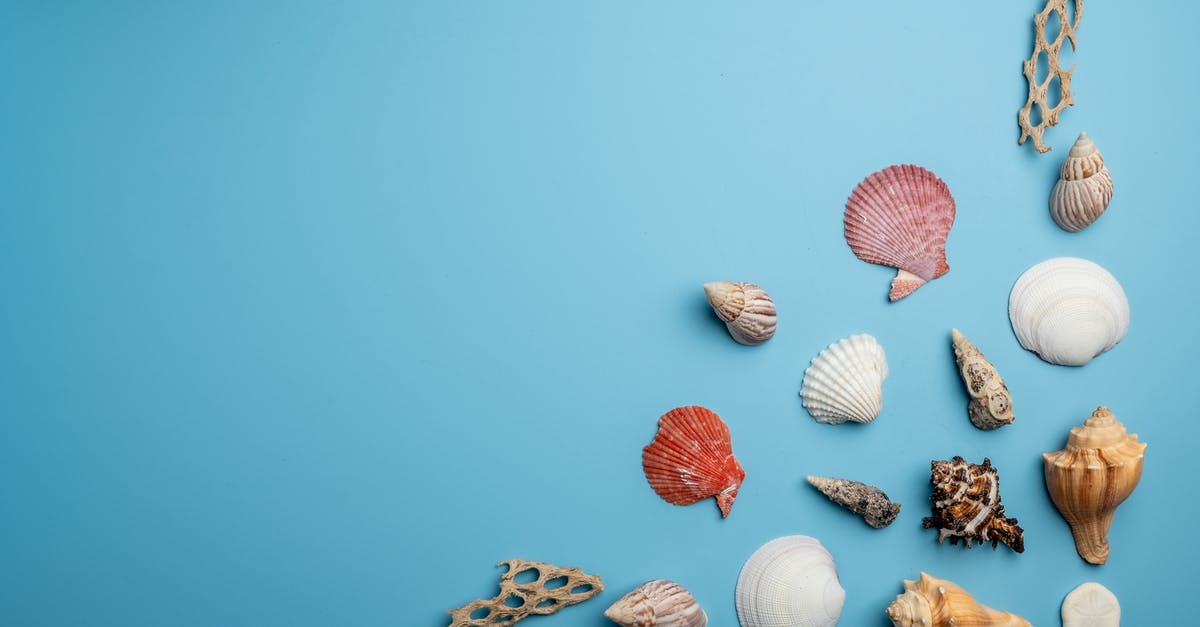 Can I travel to the UK on different dates from those on my entry clearance? - Sea shells and corals on blue background Can I travel to the UK on different dates from those on my entry clearance? - Sea shells and corals on blue background