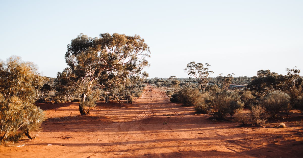 Can I travel with a Geneva convention 1951 travel document to Australia without visa? - Exotic trees growing in national park on sunny day Can I travel with a Geneva convention 1951 travel document to Australia without visa? - Exotic trees growing in national park on sunny day