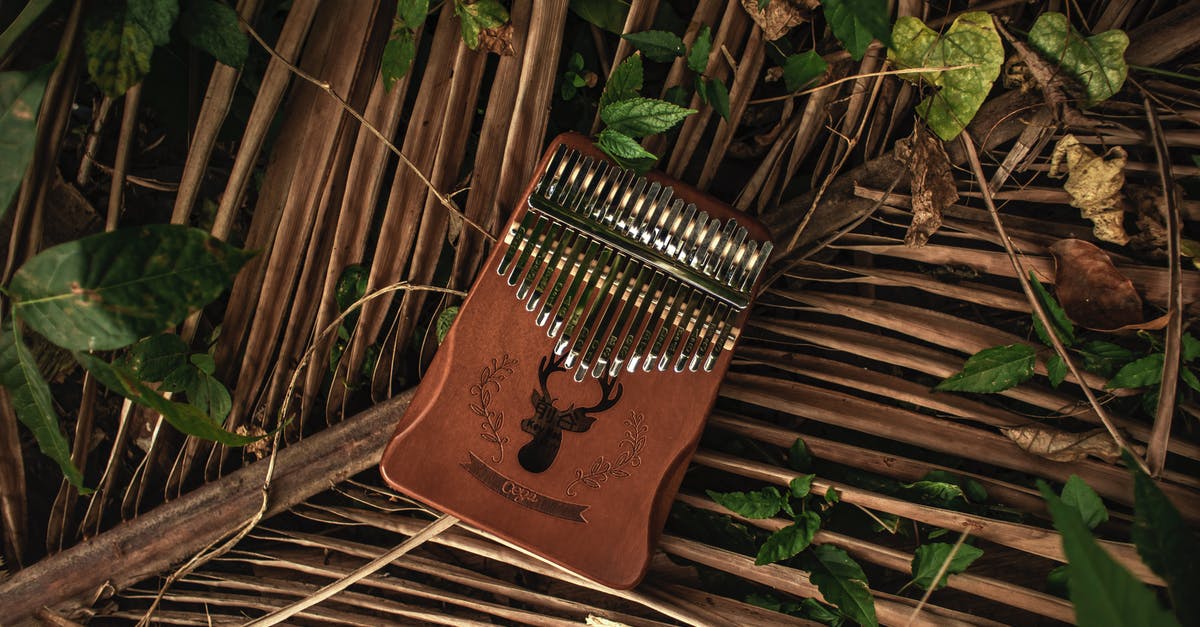 Can I use my South African passport that was previously lost - Wooden kalimba forgotten on dry branch of palm in nature Can I use my South African passport that was previously lost - Wooden kalimba forgotten on dry branch of palm in nature