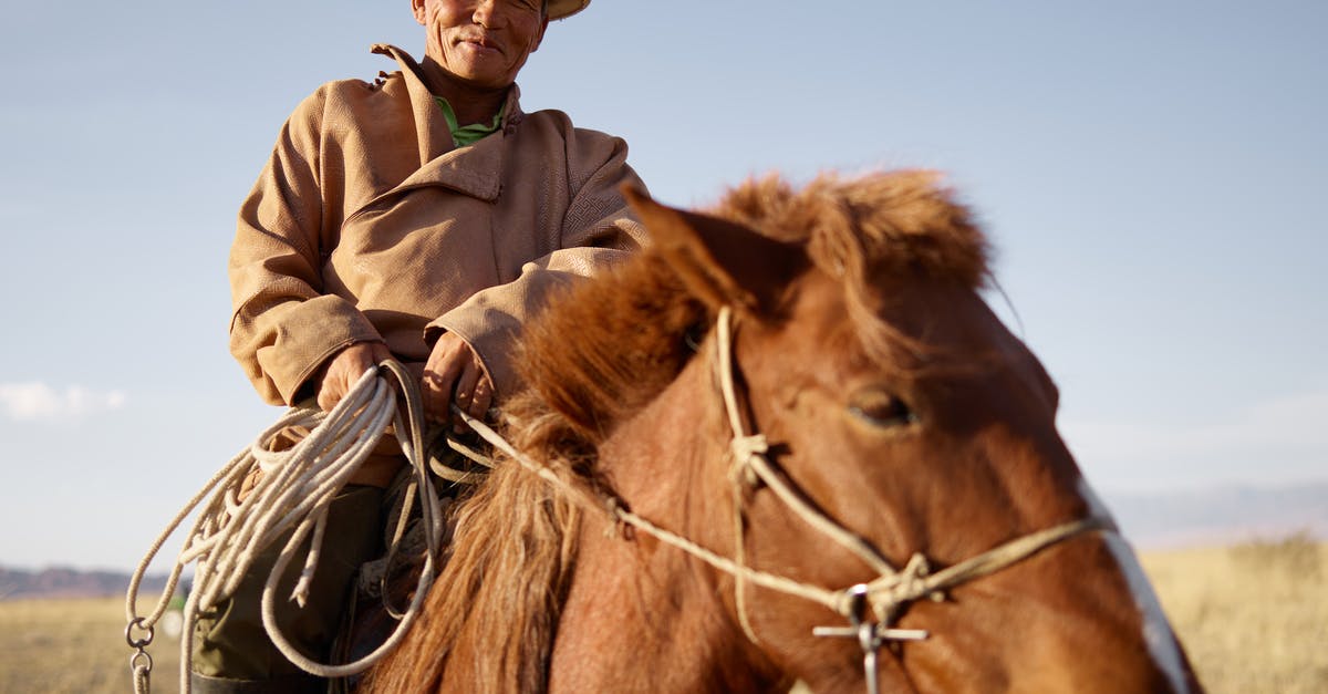 Can I visit all the countries in the Schengen area with a national visa? - Low angle of senior Asian horseman wearing national cloth riding brown horse on blurred background of prairie with dried yellow grass and remote mountains under clear blue sky while looking at camera with smile Can I visit all the countries in the Schengen area with a national visa? - Low angle of senior Asian horseman wearing national cloth riding brown horse on blurred background of prairie with dried yellow grass and remote mountains under clear blue sky while looking at camera with smile