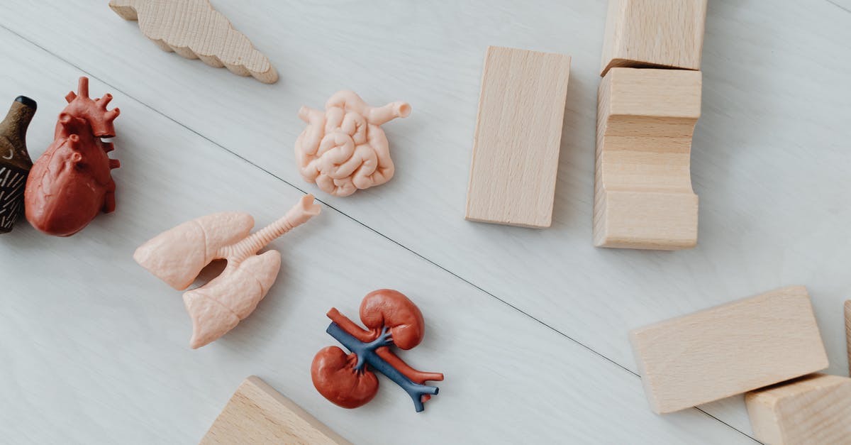 Can one take wooden toys to Australia? - Brown Wooden Rolling Pin and White Rope Can one take wooden toys to Australia? - Brown Wooden Rolling Pin and White Rope