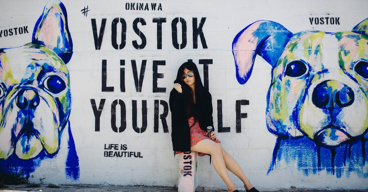 Can travelling alone for a short period of time to the US trigger red flags at the border? - Young woman sitting near graffiti wall Can travelling alone for a short period of time to the US trigger red flags at the border? - Young woman sitting near graffiti wall