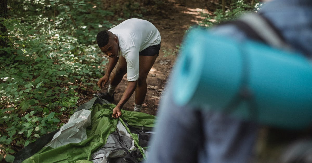 Can you freely camp along trails in Scotland? - From above of black man making tent while travelling with friend in woodland Can you freely camp along trails in Scotland? - From above of black man making tent while travelling with friend in woodland