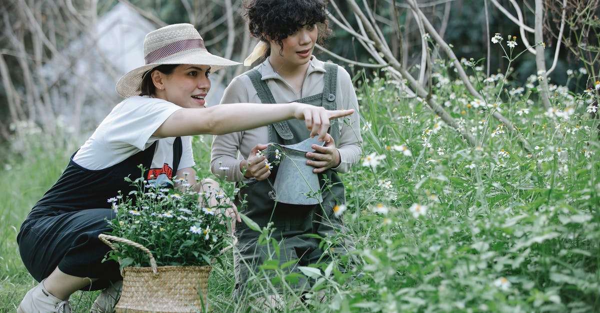 Can you look for a job in the UK without a visa? - Attentive female gardener sitting near basket of flowers and pointing away with forefinger during work in garden with colleague Can you look for a job in the UK without a visa? - Attentive female gardener sitting near basket of flowers and pointing away with forefinger during work in garden with colleague