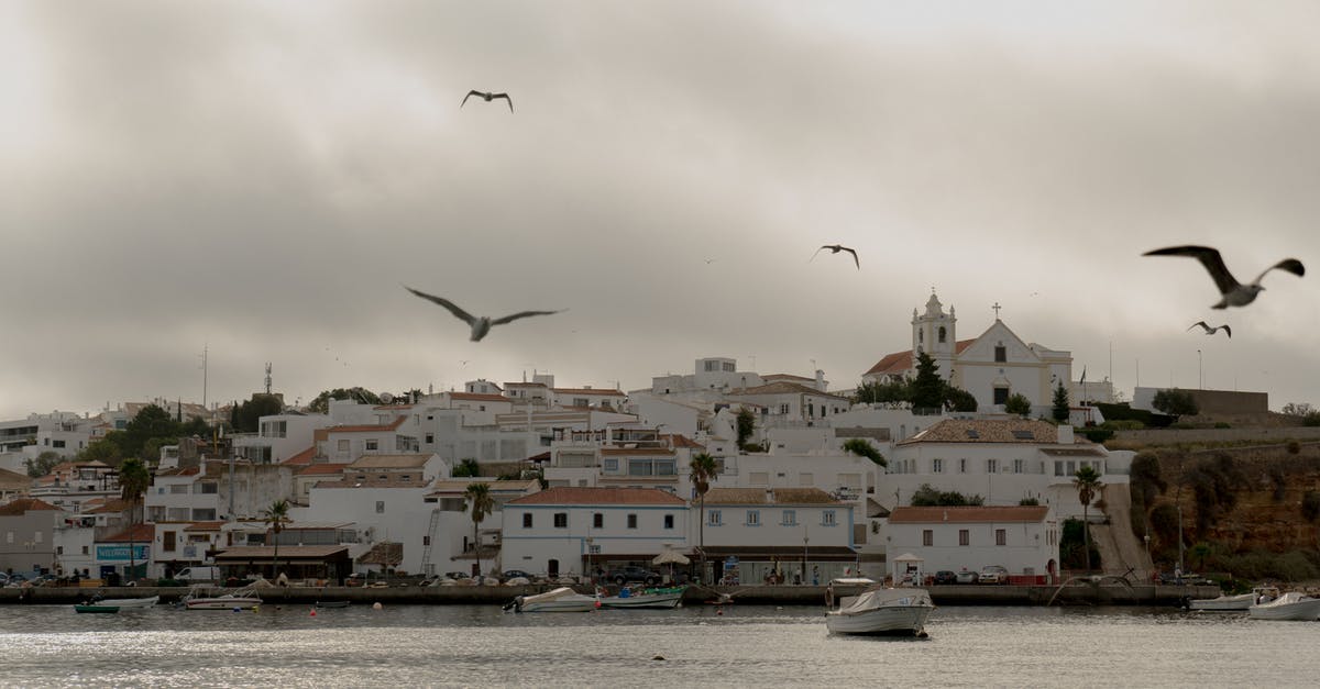 Can you travel within Portugal if your residency card is expired? - White and Red Concrete Buildings Near Body of Water Can you travel within Portugal if your residency card is expired? - White and Red Concrete Buildings Near Body of Water