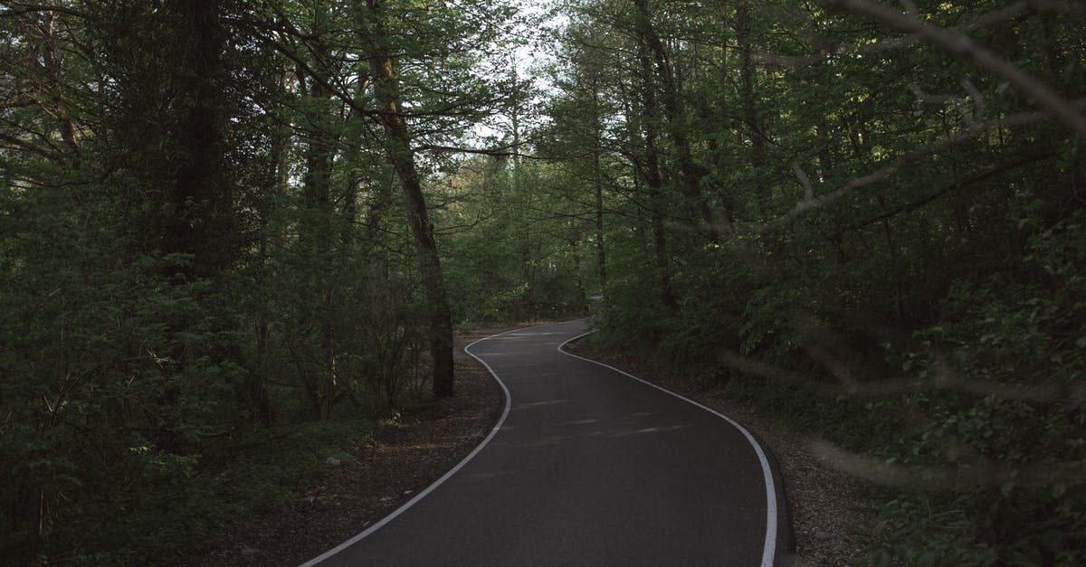 Can you walk from Lithuania to Poland through Russia (Kaliningrad Oblast)? - Photo of Paved Pathway Between Trees Can you walk from Lithuania to Poland through Russia (Kaliningrad Oblast)? - Photo of Paved Pathway Between Trees