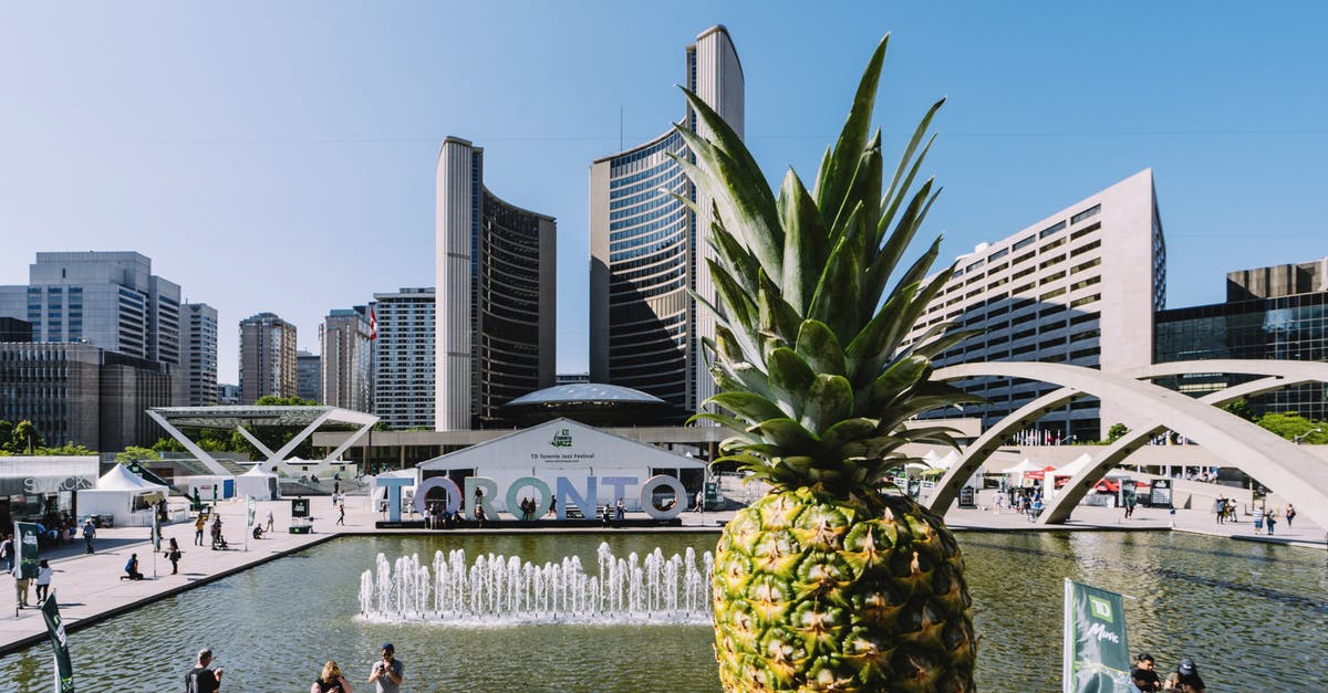 Canada to USA customs preclearance and fruits/vegetables - Pineapple on Gray Concrete Surface Canada to USA customs preclearance and fruits/vegetables - Pineapple on Gray Concrete Surface