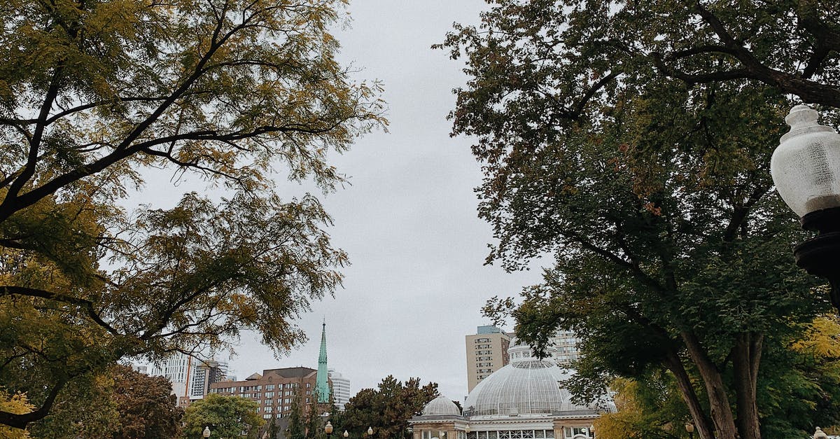 Canada Transit Visa - Green Trees Near White Building Canada Transit Visa - Green Trees Near White Building