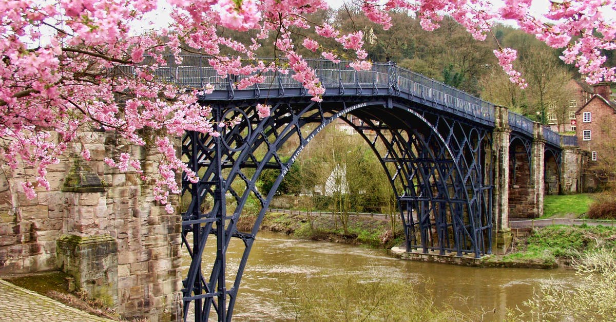 Cancelled UK visa on entry - Cherry Blossom Tree Beside Black Bridge Cancelled UK visa on entry - Cherry Blossom Tree Beside Black Bridge